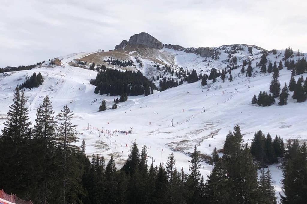 Studio Agreable Et Cosy Avec Vue Sur Les Memises 톨롱 외부 사진
